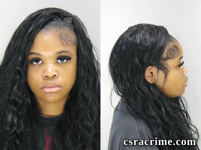 Meagan Drake booking photo