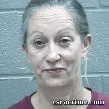 Megan Harris booking photo