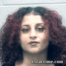 Megan Hicks booking photo