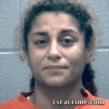 Megan Hicks booking photo