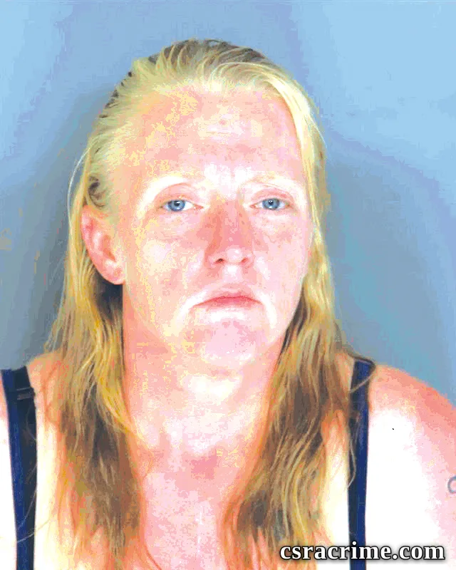 Megan Lutz booking photo