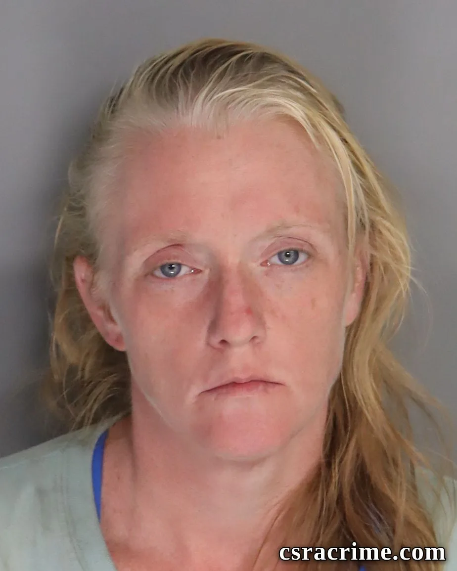 Megan Lutz booking photo