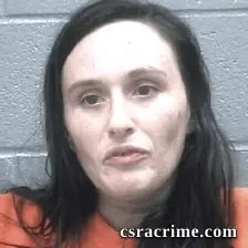 Megan Mckinney booking photo