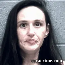 Megan Mckinney booking photo