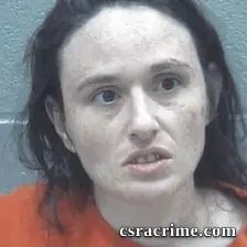 Megan Mckinney booking photo