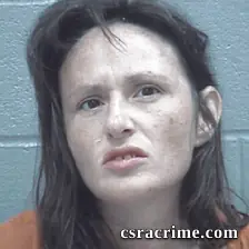 Megan Mckinney booking photo