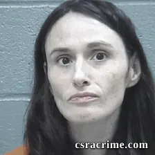Megan Mckinney booking photo