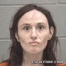 Megan Mullins Mckinney booking photo