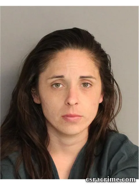 Megan Murphy booking photo