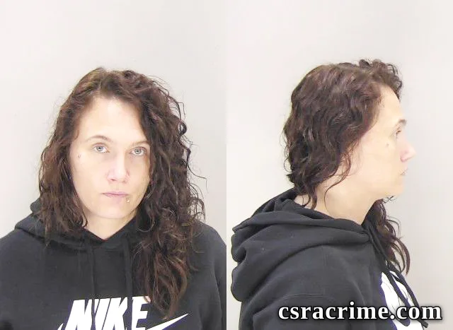 Megan Phillips booking photo