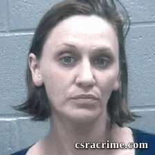 Megan Ross booking photo