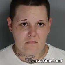Megan Sauls booking photo