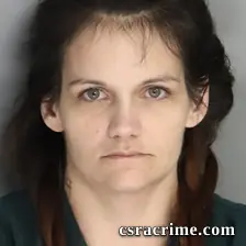 Megan Stamps booking photo