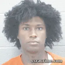 Mekhi Whigham booking photo