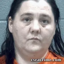 Melinda Rivas Santana booking photo