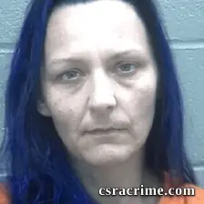 Melissa Barnes booking photo