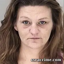 Melissa Goodin booking photo