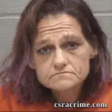 Melissa Leann Sousa booking photo