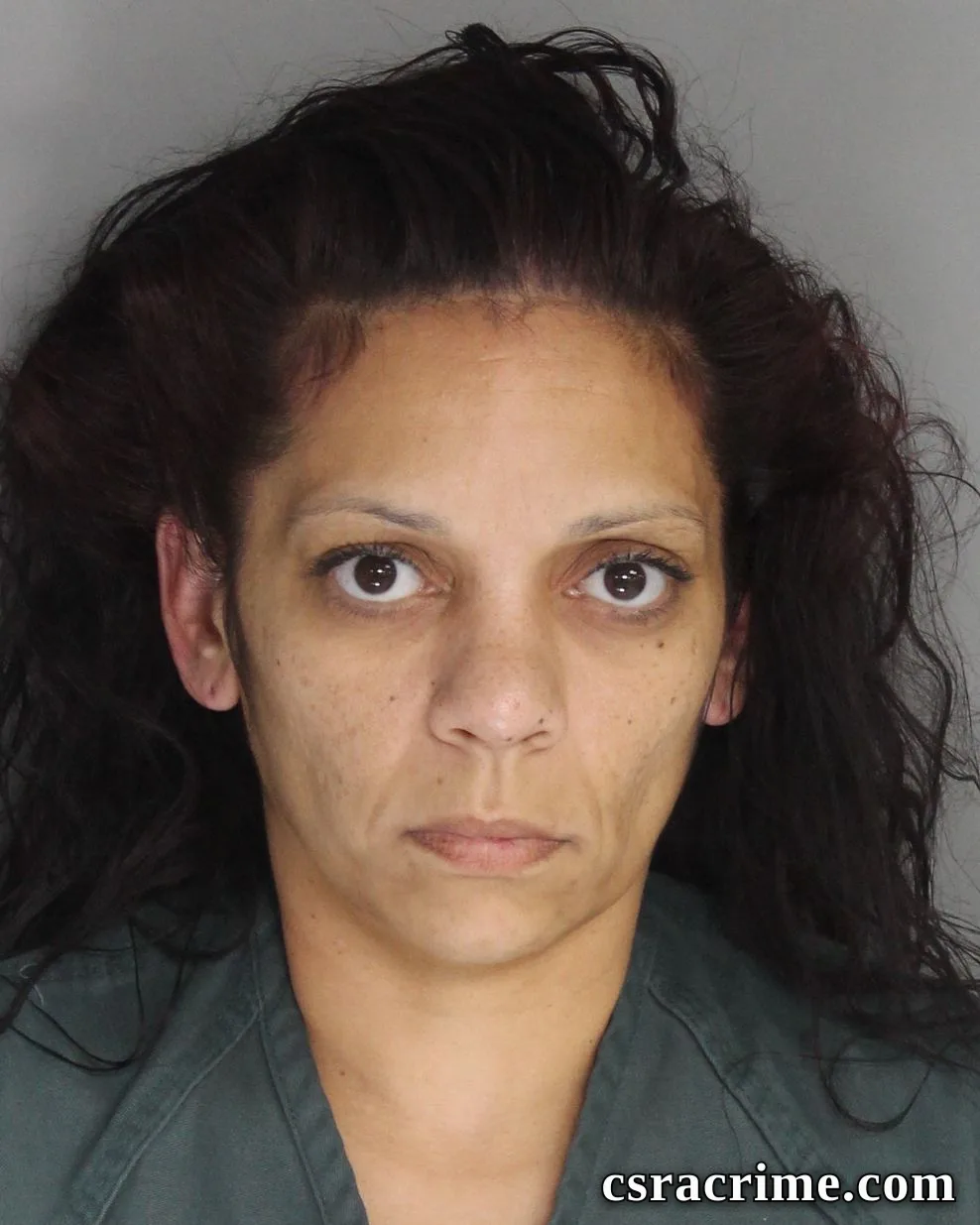 Melissa Lenker booking photo