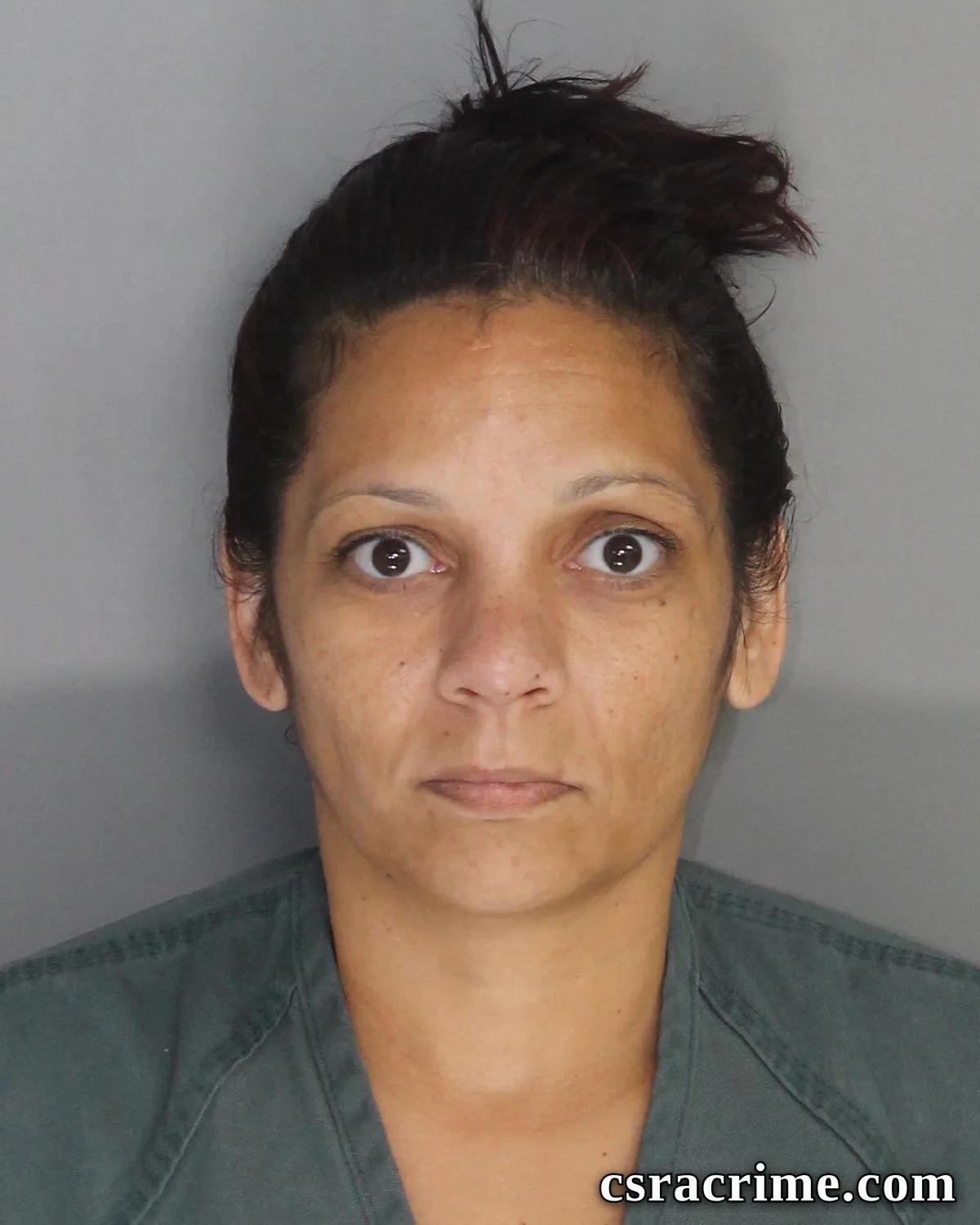 Melissa Lenker booking photo
