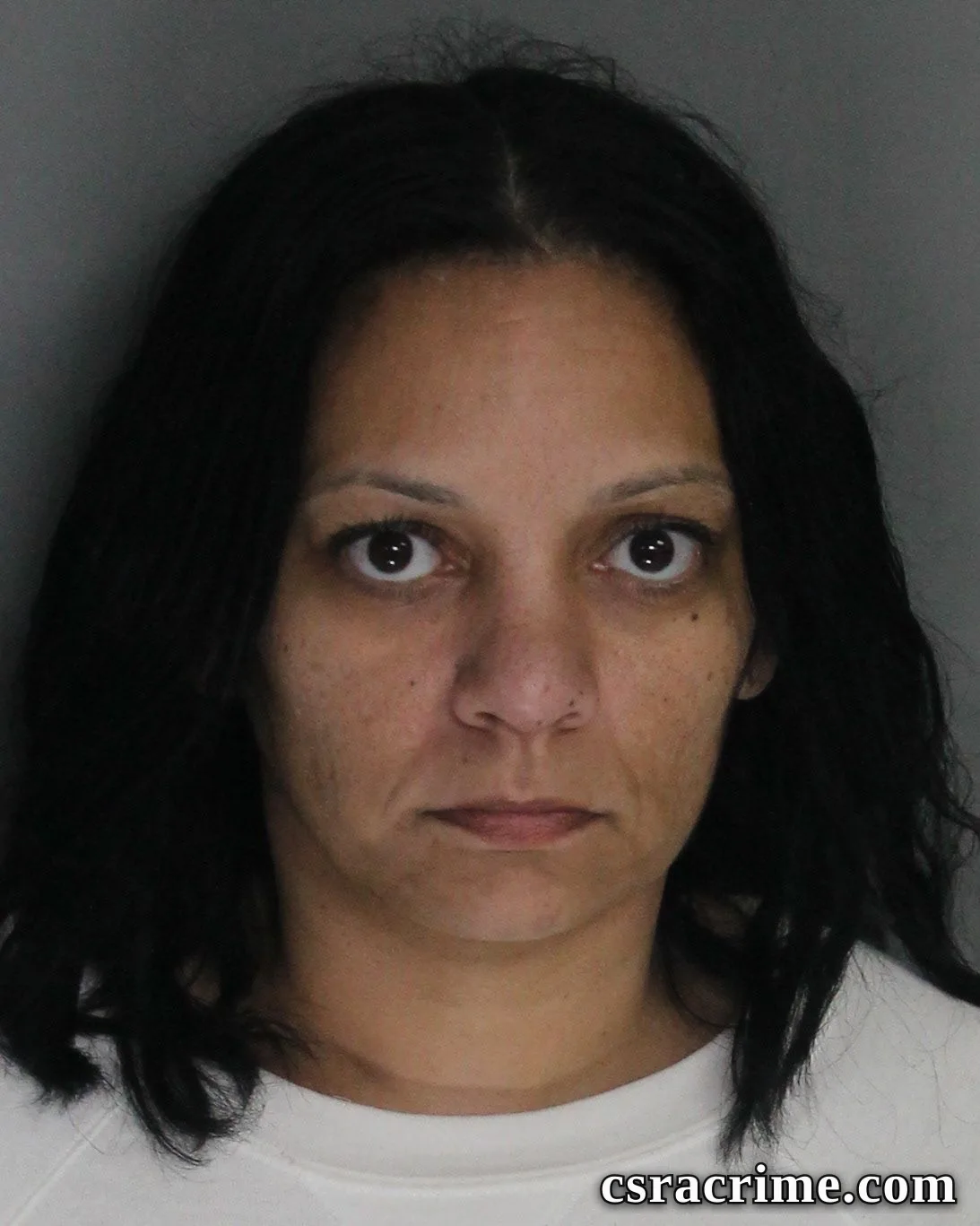 Melissa Lenker booking photo