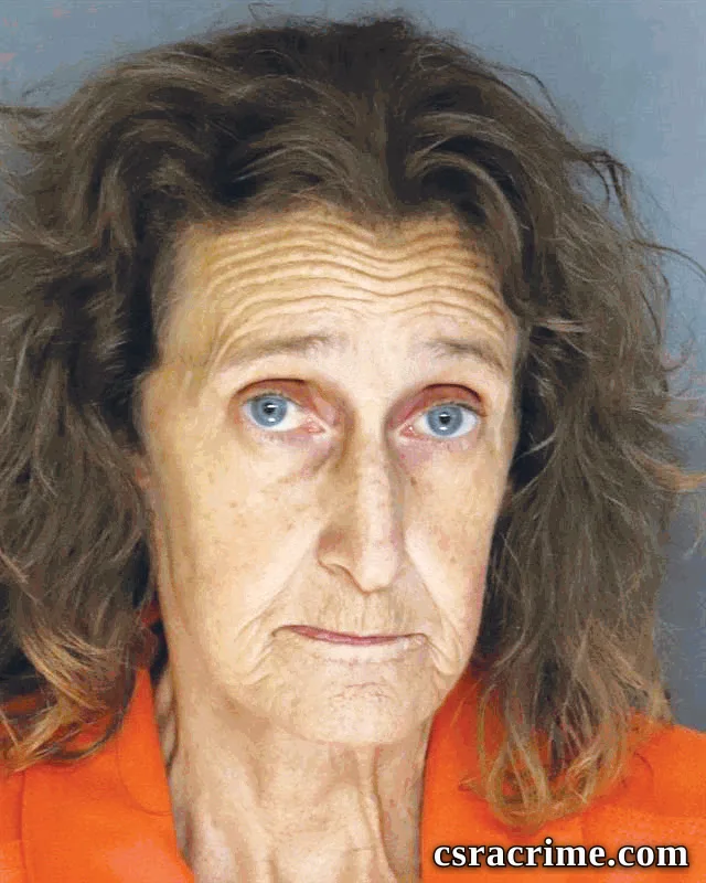 Melissa Lewallen booking photo
