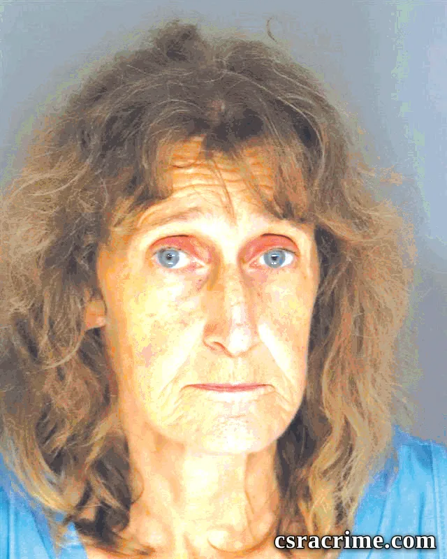 Melissa Lewallen booking photo