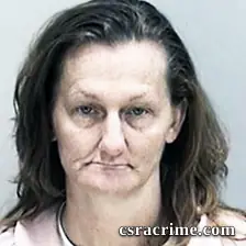 Melissa Ludwig booking photo