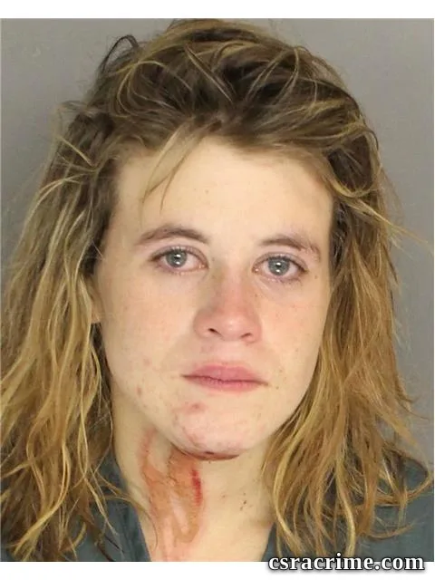 Melissa Pryor booking photo
