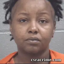 Melissa Young booking photo