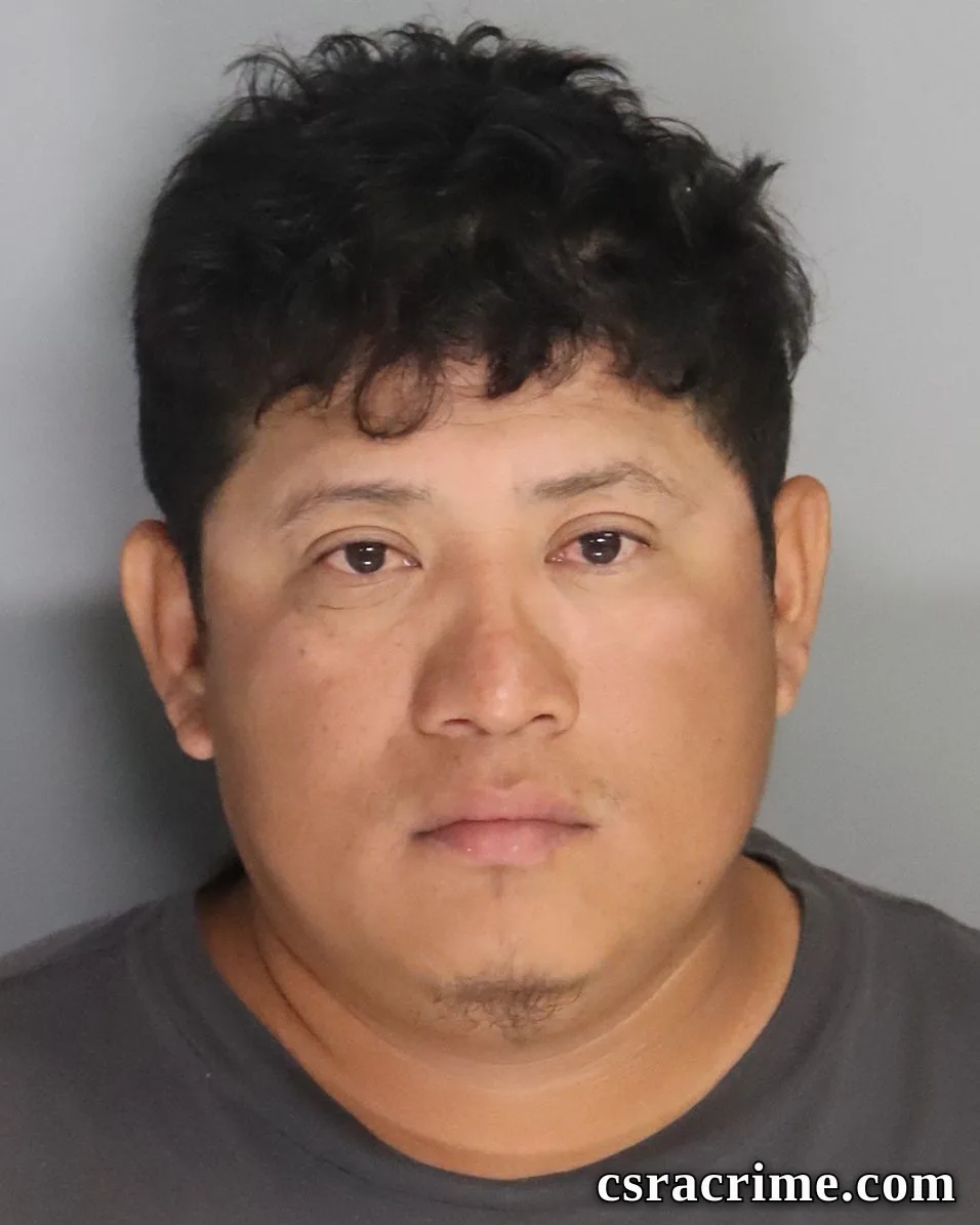 Melsin Molina Matul booking photo