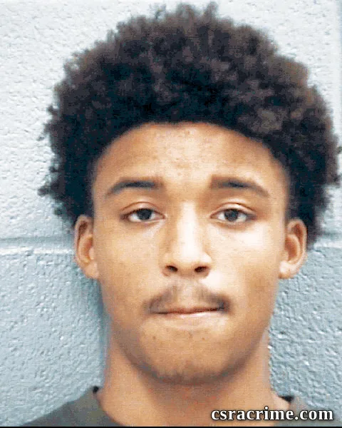 Micha-Lee Johnson booking photo