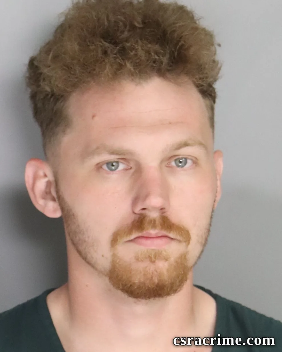 Michael Alan booking photo