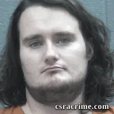 Michael Fallman booking photo