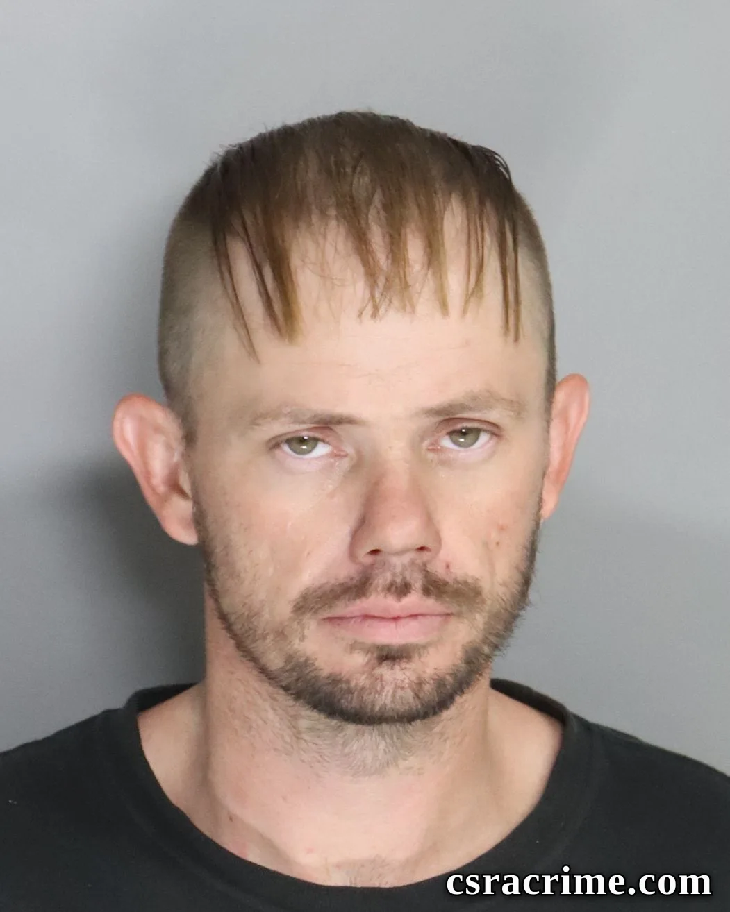 Michael Freeman booking photo