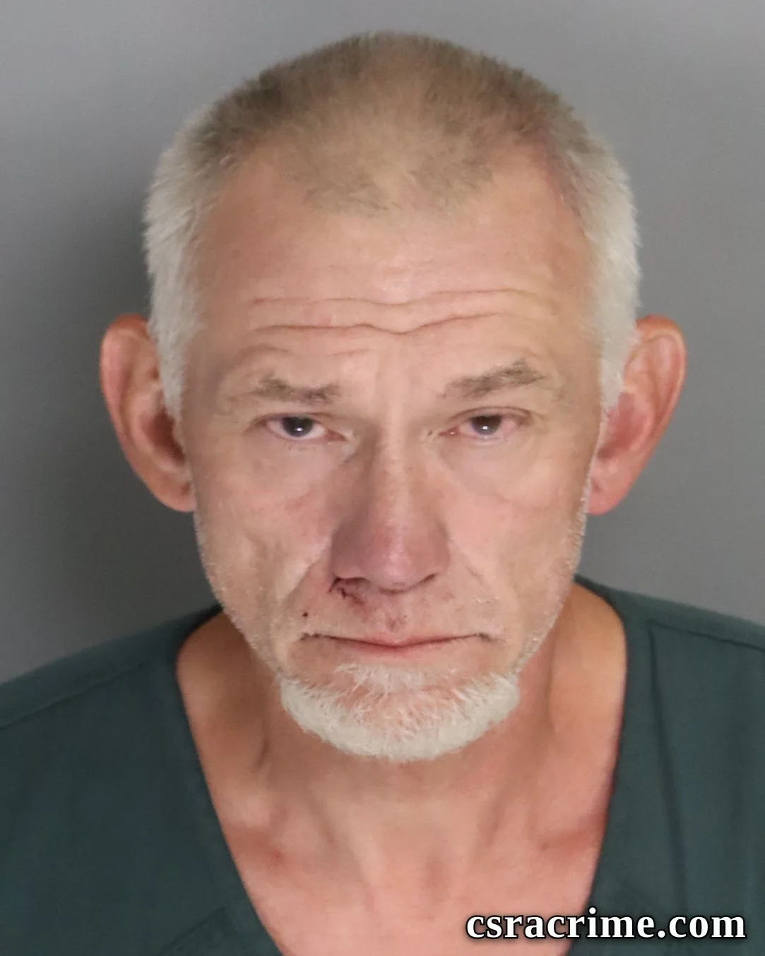 Michael Fulmer booking photo