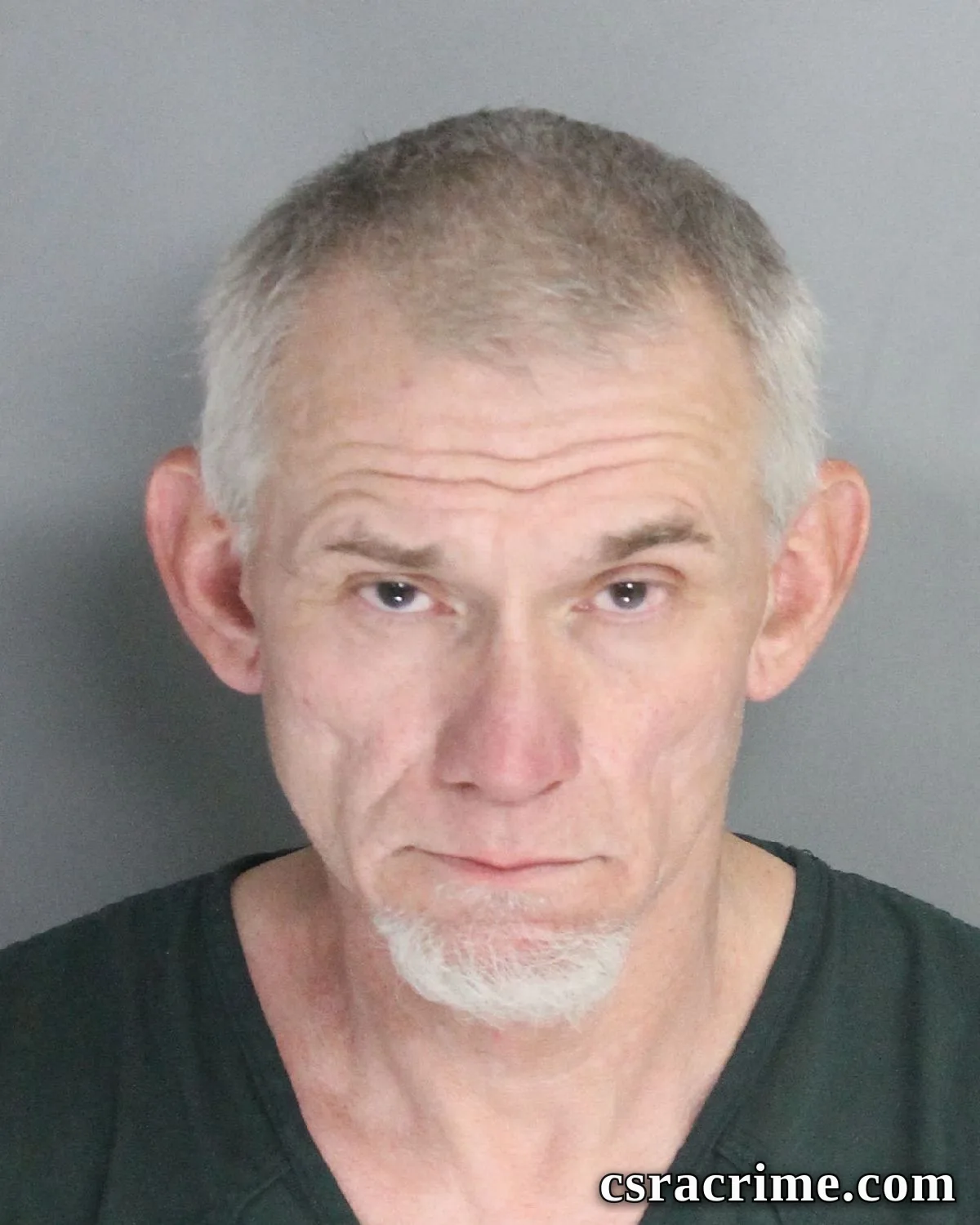 Michael Fulmer booking photo
