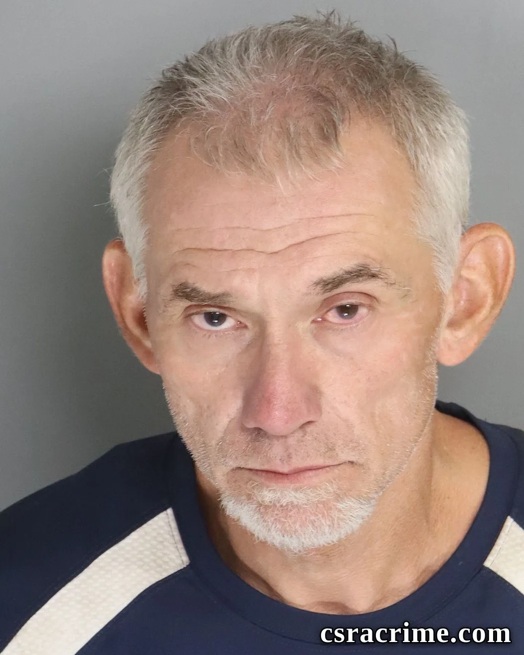 Michael Fulmer booking photo
