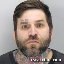 Michael Greeson booking photo
