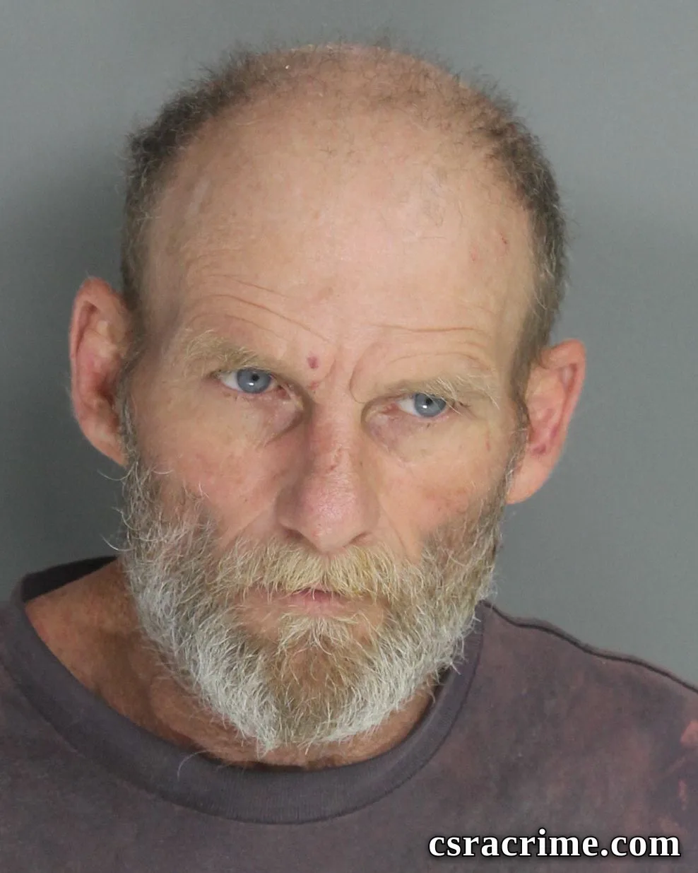 Michael Hill booking photo