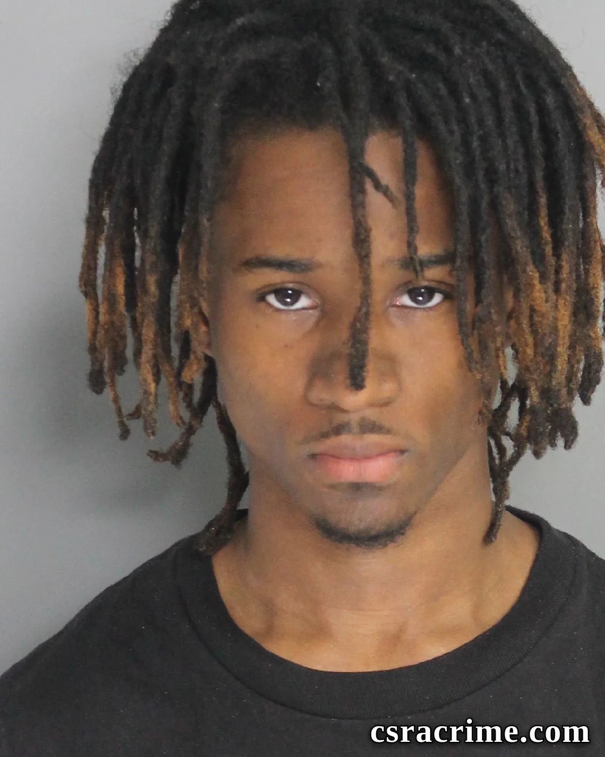 Michael Johnson booking photo