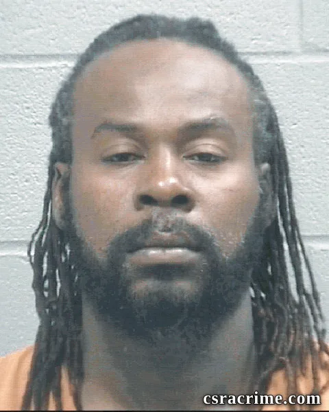 Michael Johnson JR booking photo