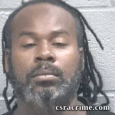Michael Johnson JR booking photo