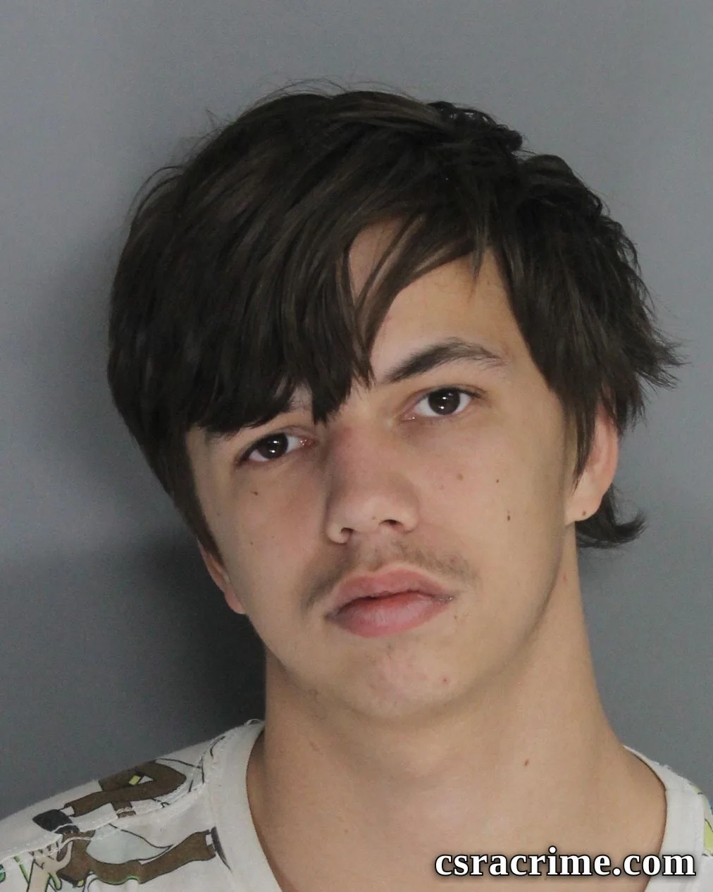 Michael Jones JR booking photo