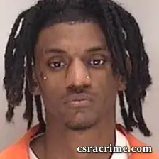 Michael Lanarder Walker JR booking photo