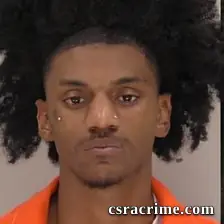 Michael Lanarder Walker JR booking photo