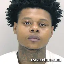Michael Lee JR booking photo