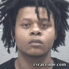 Michael Lee JR booking photo