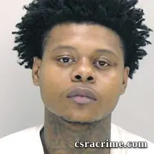Michael Lee JR booking photo