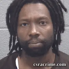 Michael Lewis booking photo